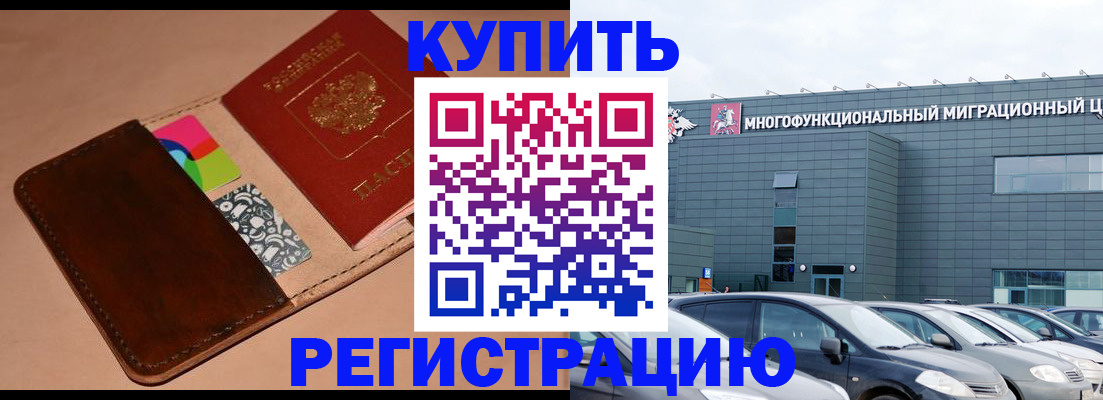 прописка поиск в Ельне